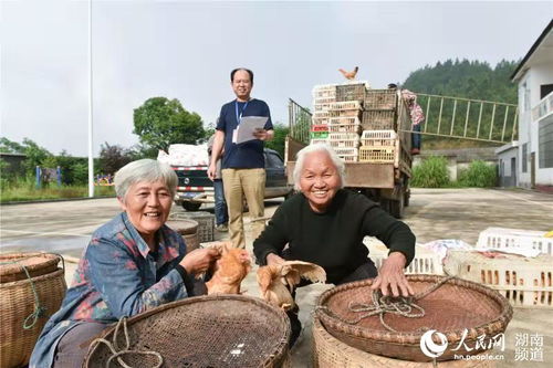 當面鑼對面鼓 話說透干勁足